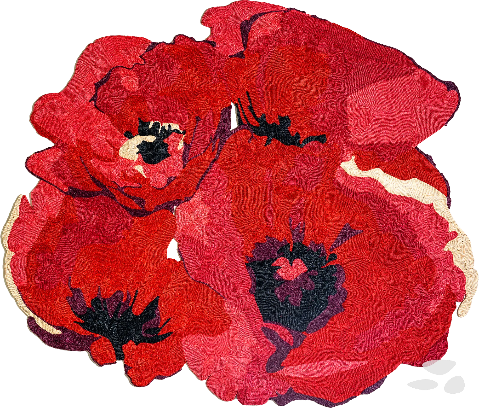 Coquelicot — Flower